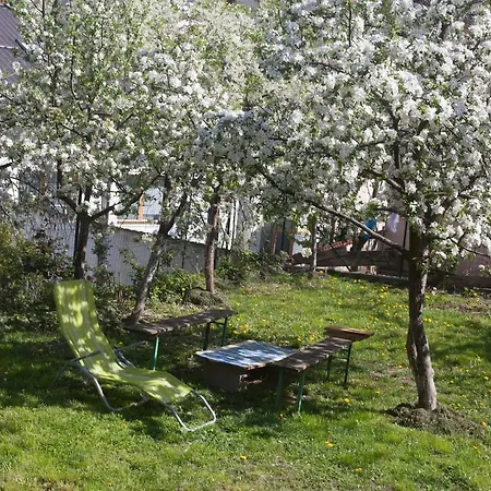 A Quiet Oasis In The Center Of The City Apartman